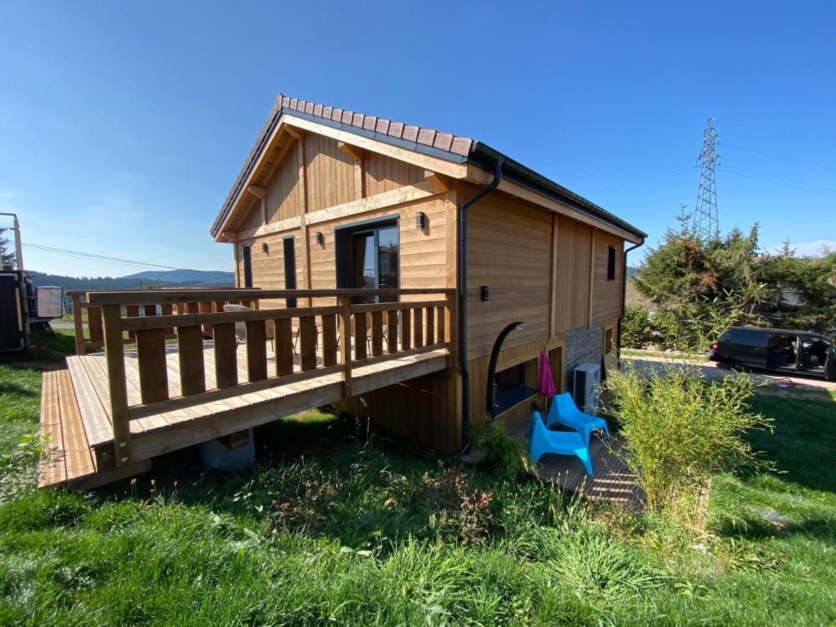 L'Adret Du Temps Chalet 10 Personnes 170M2 Gérardmer Exterior foto